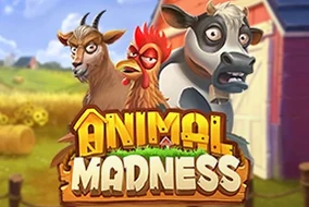 Animal Madness