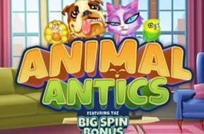 Animal Antics