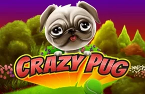 Crazy Pug